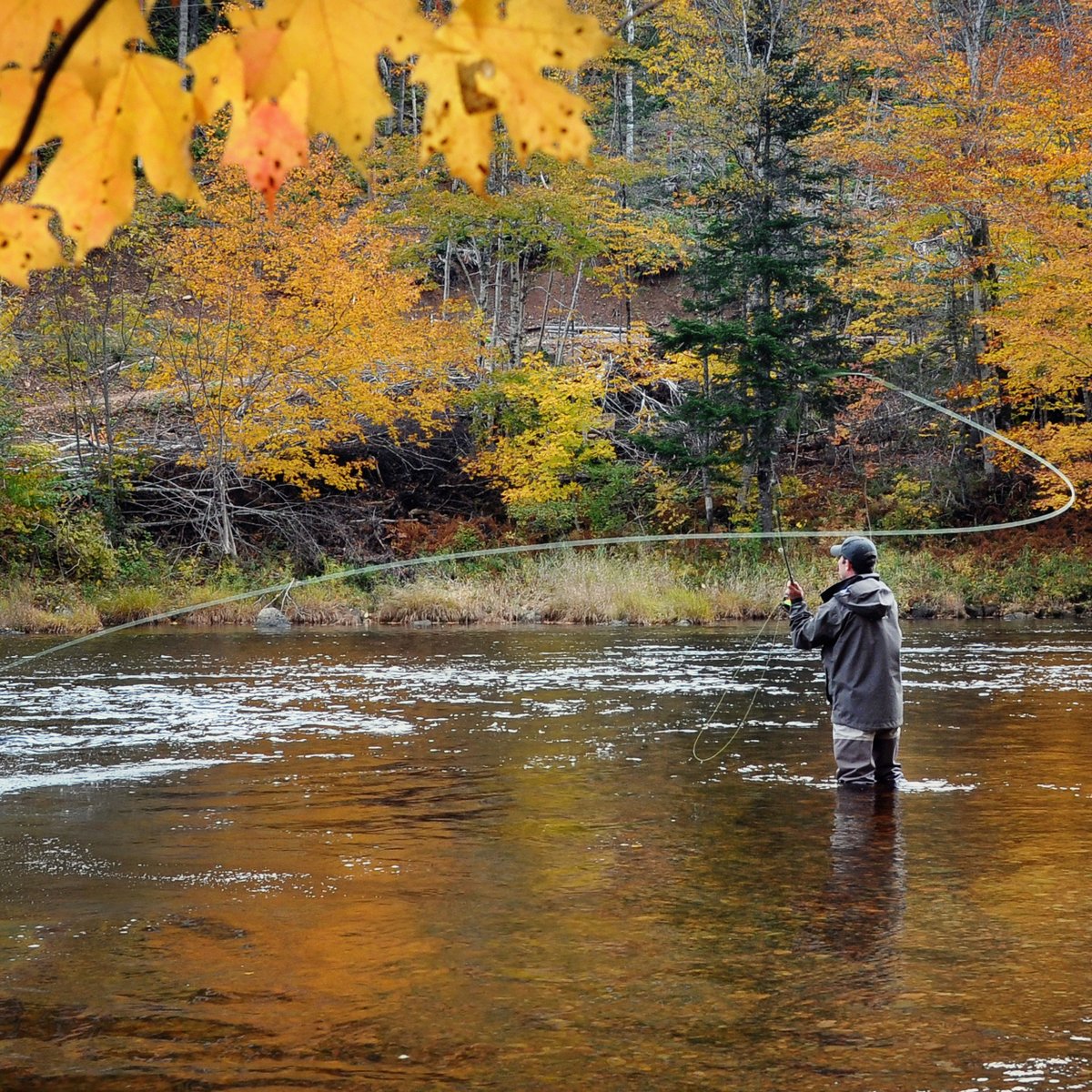 FlyFishingPlace tweet picture