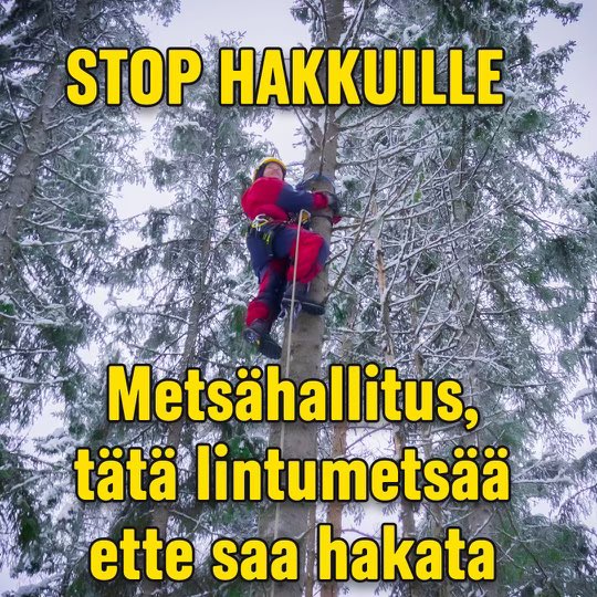 SanttuSysma's tweet photo. "OHO", sanoi #metsäyhtiö,
kun jäi TAAS kiinni
- nyt #kuukkelimetsä n avohakkuusta!
- ja juuri äsken #raakku -tuhoista.
#storaenso #tornator @metsateollisuus @Metsahallitus
Tältäkö se näyttää, kun "Suomalaiset metsänomistajat osaavat hoitaa metsiään..." @PetteriOrpo #hallitus https://t.co/GWIOmFGZxW