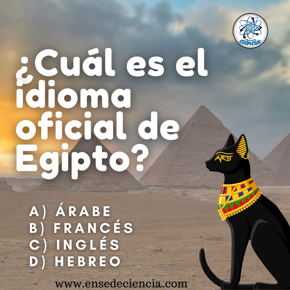 Enséñame de Ciencia tweet media