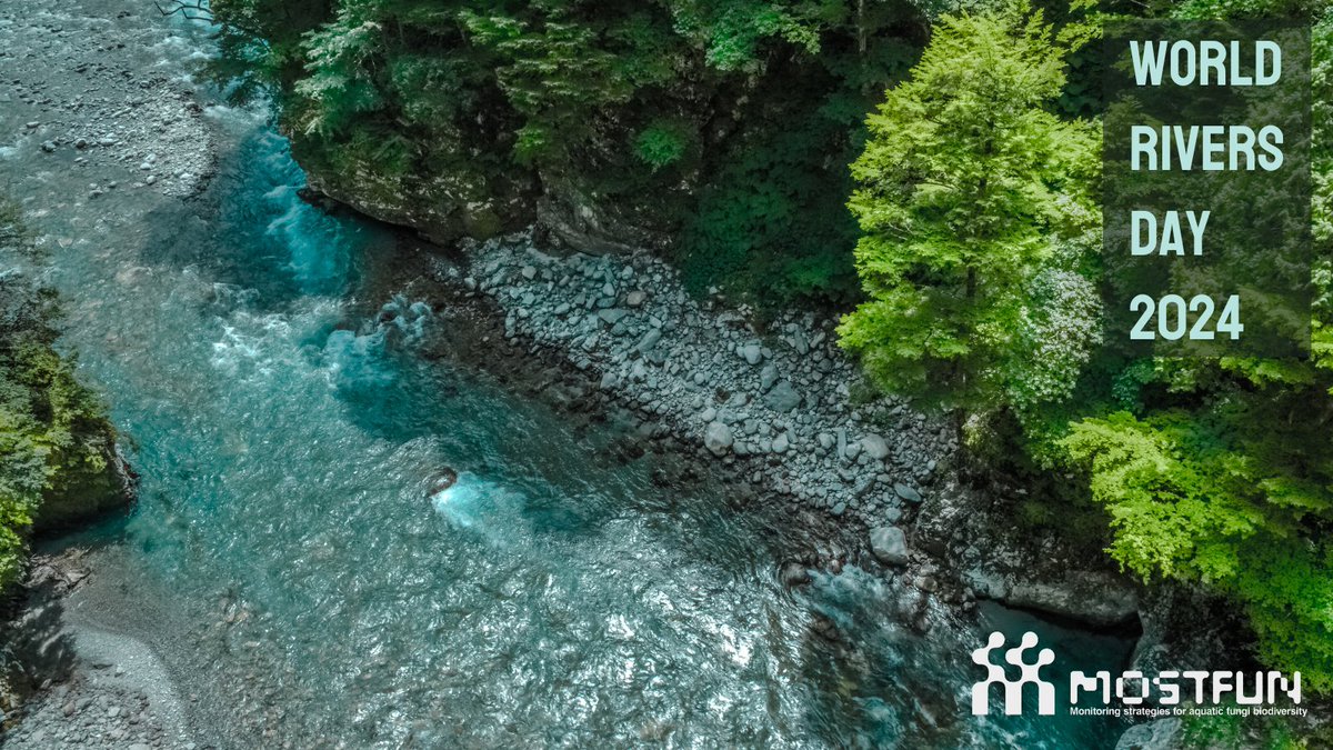 Happy #WorldRiversDay2024! 🏞️

#Rivers #WorldRiversDay #Freshwaters #aquaticfungi #monitoring #fungi #funga