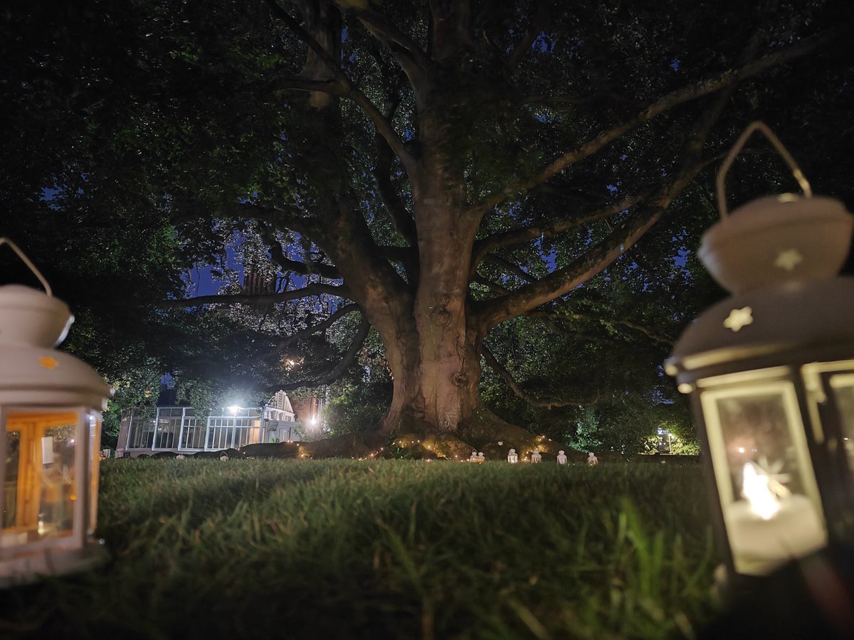 Headington Rye Boarding (@hso_boarding) on Twitter photo Last Tuesday - Mid Autumn Moon Festival <a href="/HSO_Boarding/">Headington Rye Boarding</a> #HROhillstow #HROdavenport Last Tuesday - Mid Autumn Moon Festival <a href="/HSO_Boarding/">Headington Rye Boarding</a> #HROhillstow #HROdavenport