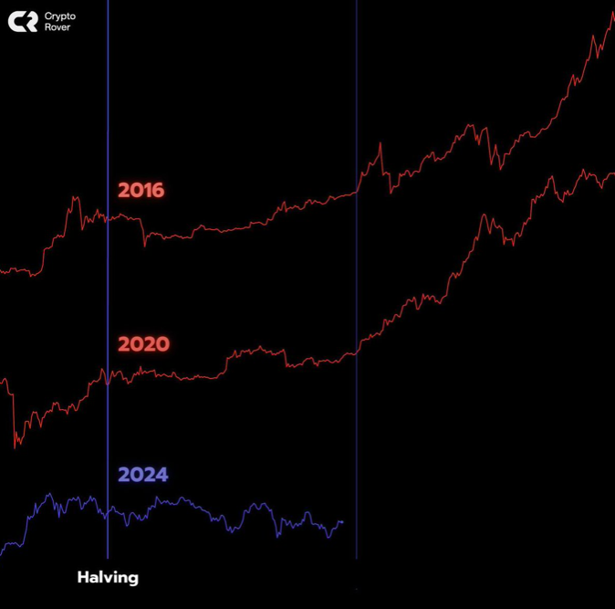 The #Bitcoin bull market should start in the next 10 days...