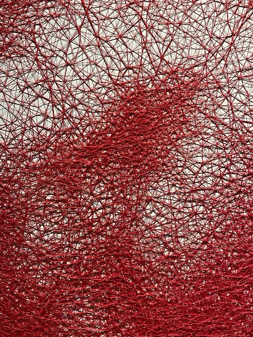 塩田千春展で流れてた動画の中で、作品毎の糸の密度にもこだわってるって言っててなるほど納得出来たって知ってて。やはり素晴らしい。 