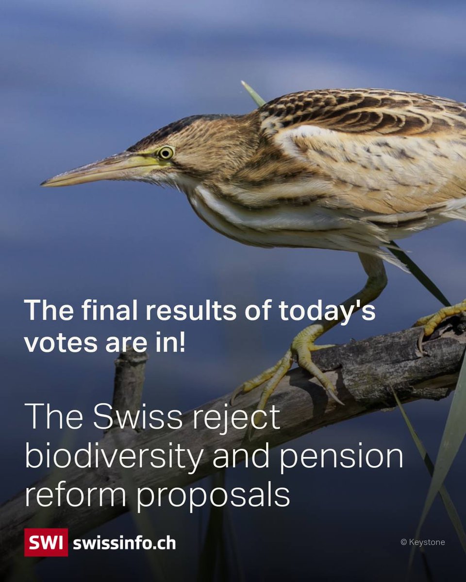 swissinfo.ch tweet media