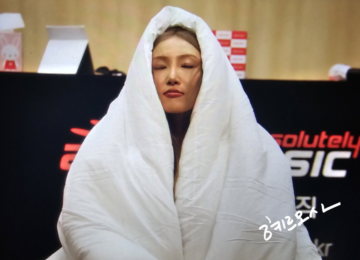 혜르모사 tweet media