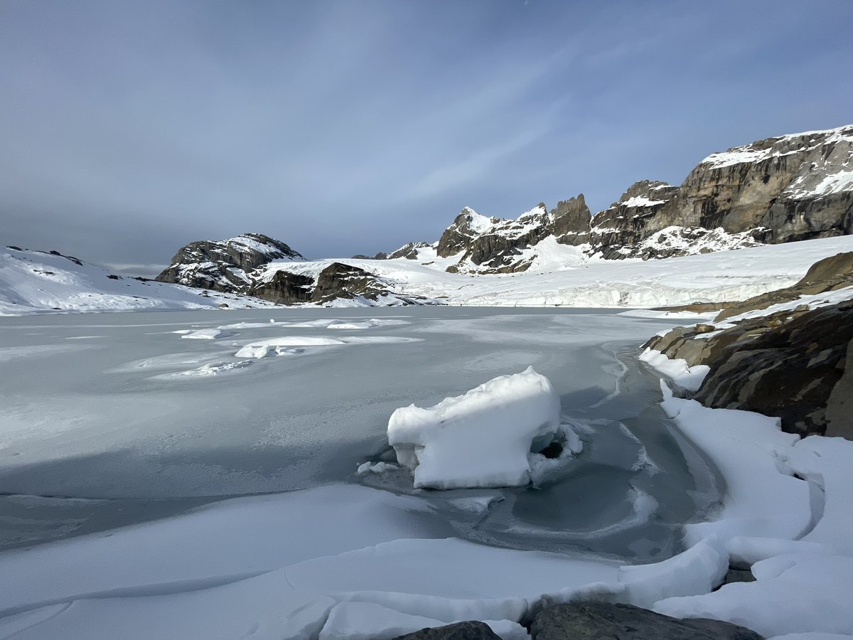 Lander Van Tricht tweet media