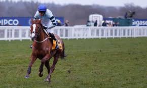 HORSERACING1002's tweet photo. NOT SO SLEEPY🇬🇧2012
(BEAT HOLLOW - PAPILLON DE BRONZE BY MARJU)
#NotSoSleepy
B/O Lord Blyth🇬🇧April 18, 2012, Gelding.
T/ Hugh Morrison
69-12-6-6---$787,052
Dee S, Betfair Exchange Trophy Handicap Hurdle(2), Fighting Fifth Hurdle (2),
3rd Prix du Prince D'Orange G3, Fighting Fifth Hurdle,