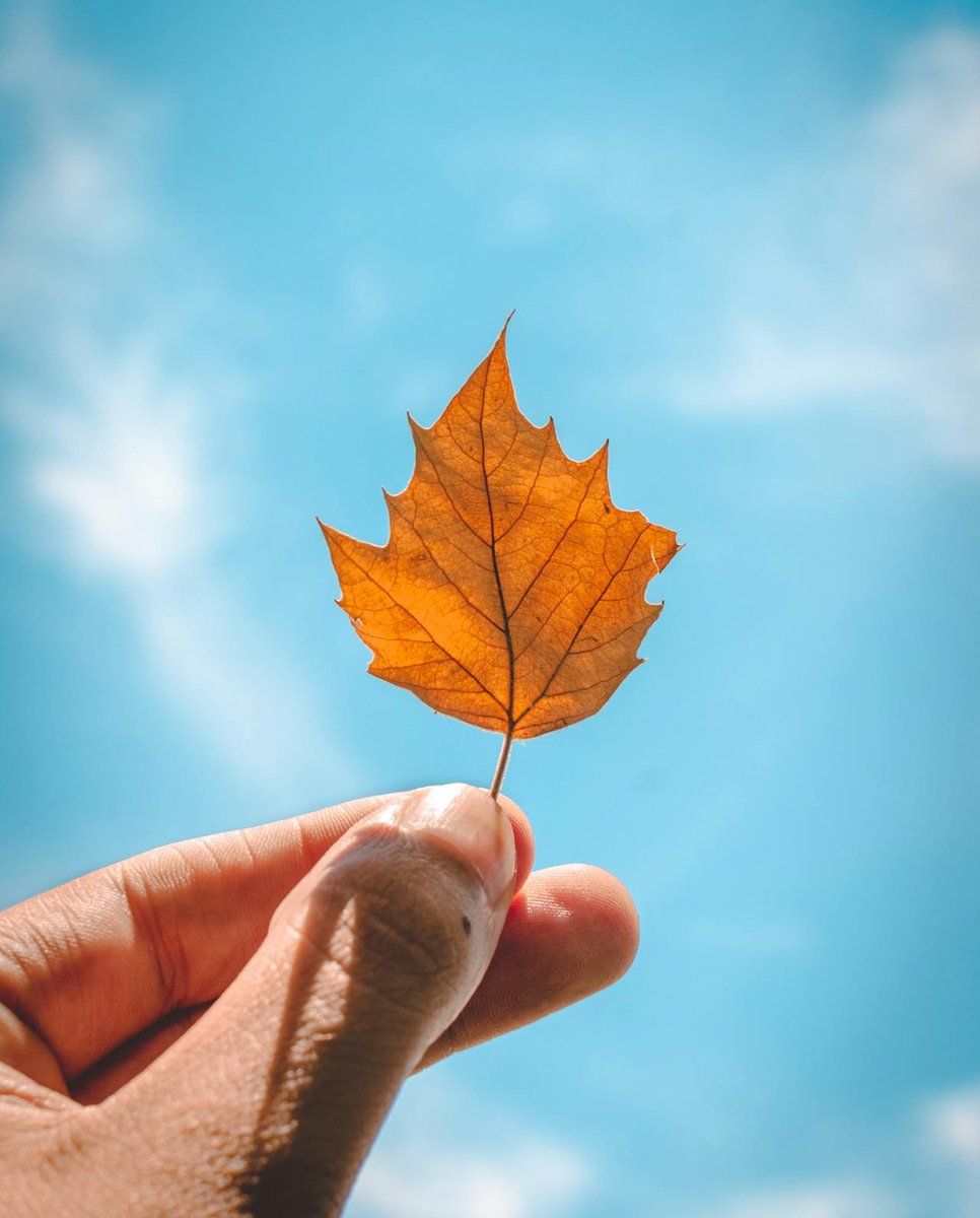 The first day of fall might not mark a chill in the air for Texans, but it does mean cooler temps begin to swing our way!

With milder weather comes lower electricity usage - and that means lower bills. 🍁