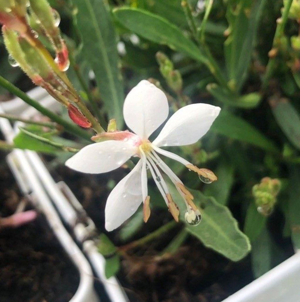 The Best Happiness Is Happiness That Doesn’t Need A Crowd - Jeffrey Howard