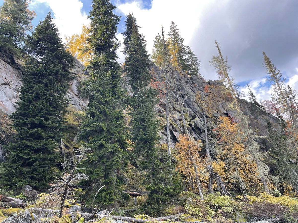 Сходил на скалу Спартак