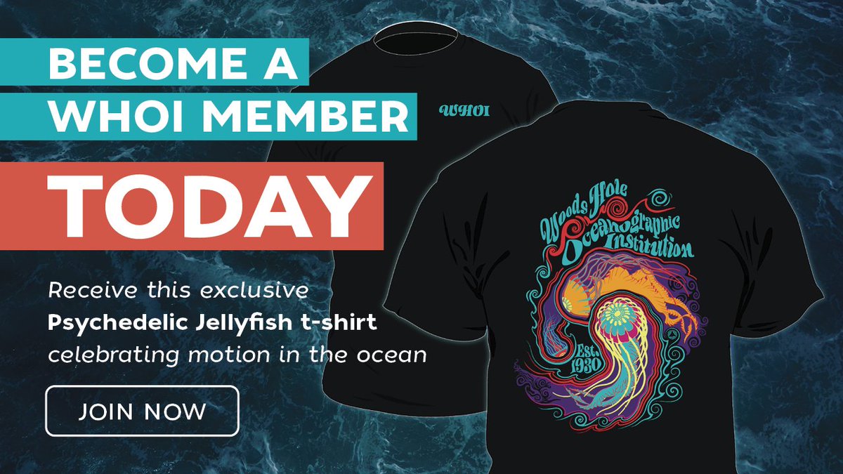 WHOI's tweet photo. 🌊 Hey ocean lovers! 🔬 During #ClimateWeekNYC, become a #WHOI member with a gift of $60 or more and you’ll receive our exclusive #PsychedelicJellyfish T-shirt celebrating #motionintheocean! 👕
📲Join us at https://t.co/aAH3XdtFu7 https://t.co/wYvIh5mn63