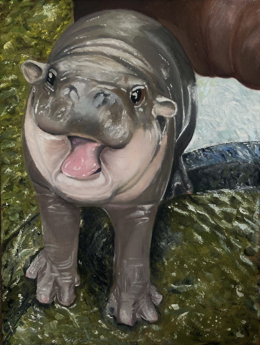 my oil painting of Moo Deng, the cute and  chaotic hippo