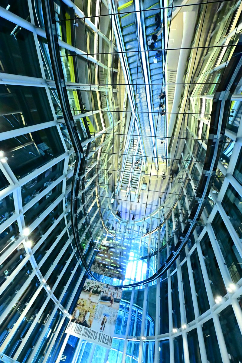 yazawa_takanori's tweet image. 広角は視界を超えるから面白いですね。Nikonさん、ぜひ12mm出してください。
#Z6III #14mm #渋谷 #渋谷ストリーム #shibuyastream #夜景 #超広角