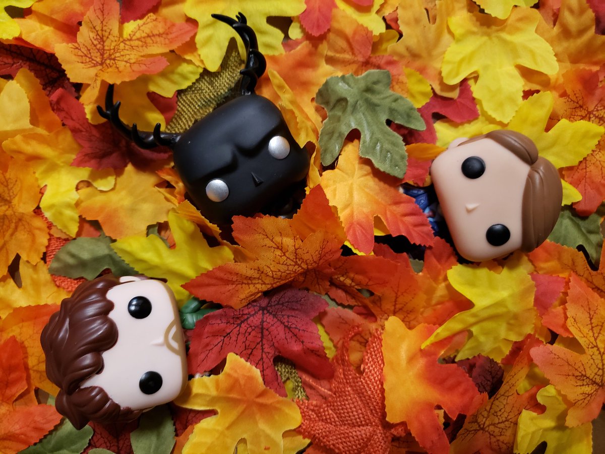 NaomiNomers's tweet photo. Happy first day of autumn! 🍂 https://t.co/BSbcowsuf8