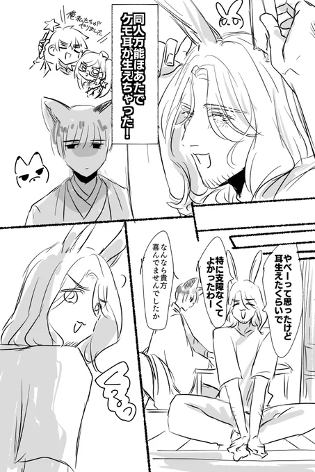 フラ菊です 