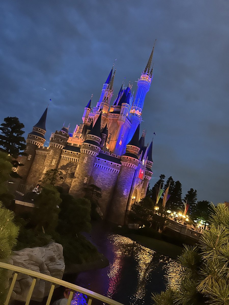 そういえばディズニー行ってきた✌️