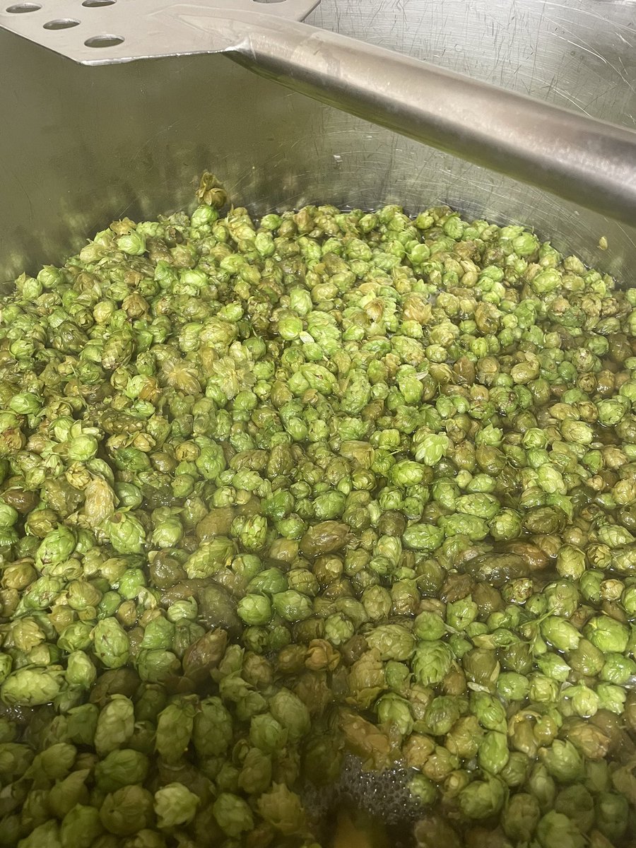 A hardy bunch the <a href="/HorsforthBrewer/">Horsforth Brewery</a> hop pickers.  Chucking it down in Leeds, but that doesn’t stop them <a href="/BeerChannel/">CraftBeerChannel</a>