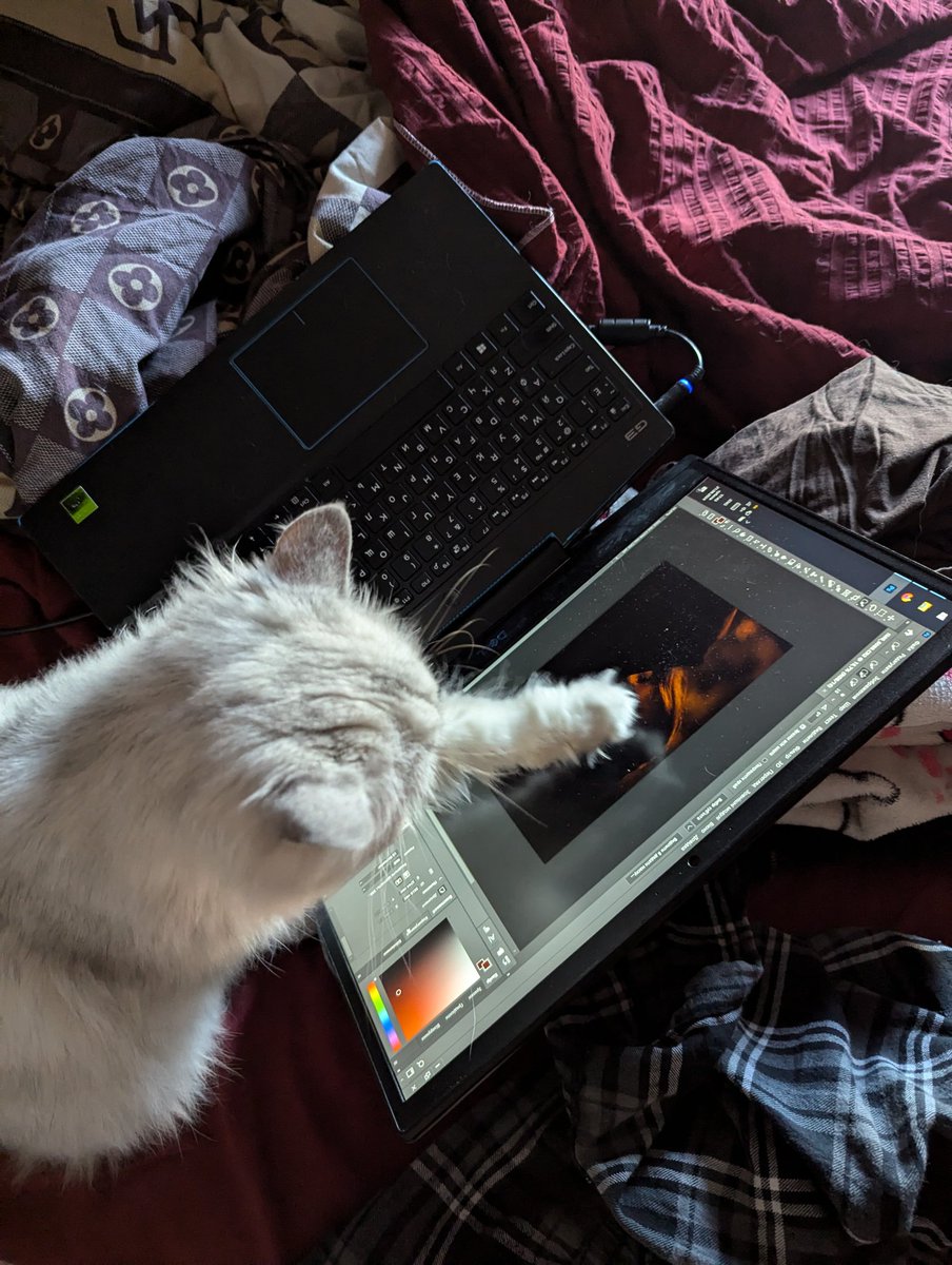 Andriy_08 tweet media