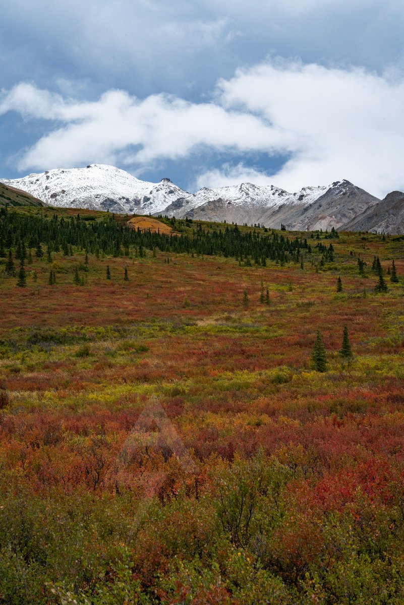 Alex Schueth tweet media