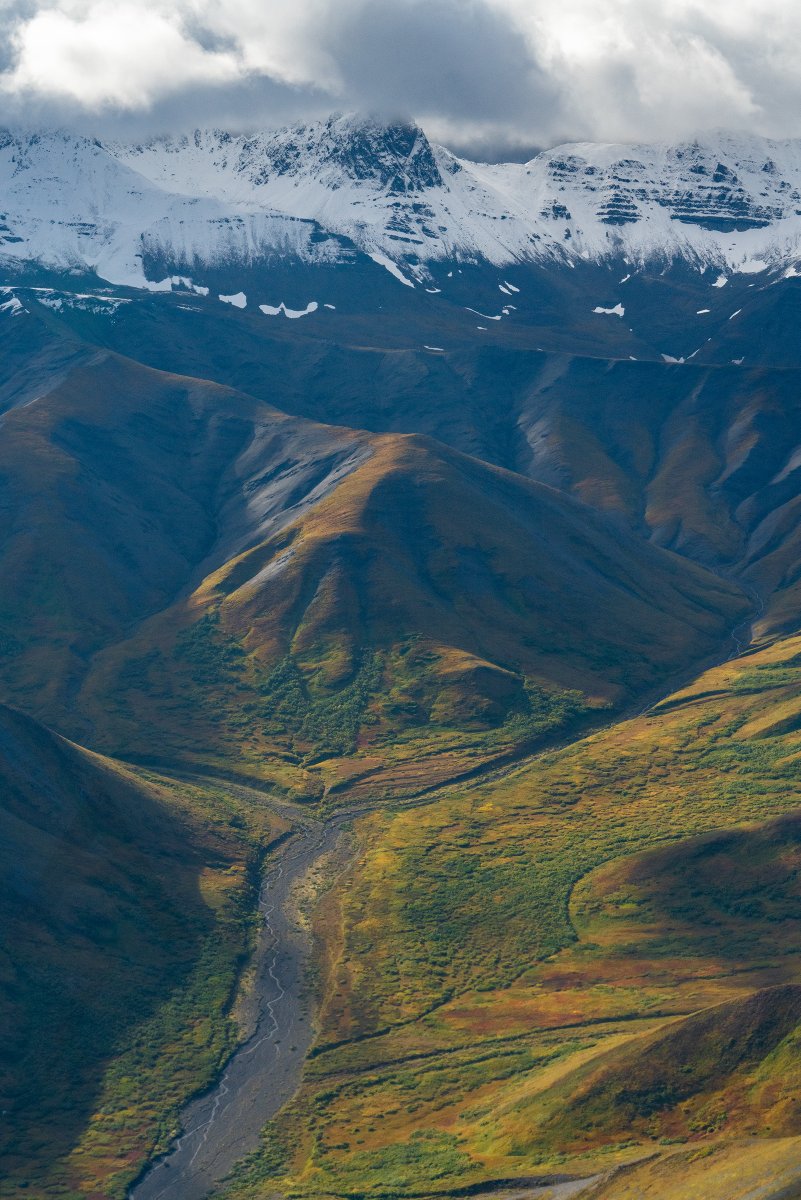 Alex Schueth tweet media