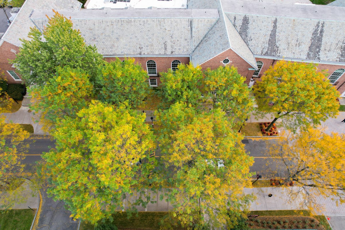 Iona University tweet media