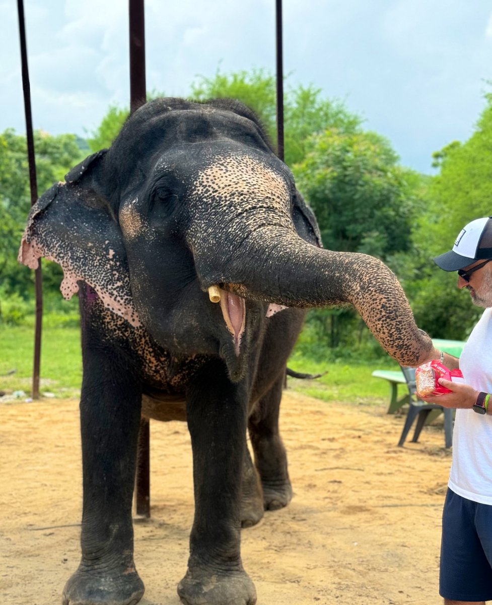 Salman Sufi tweet media