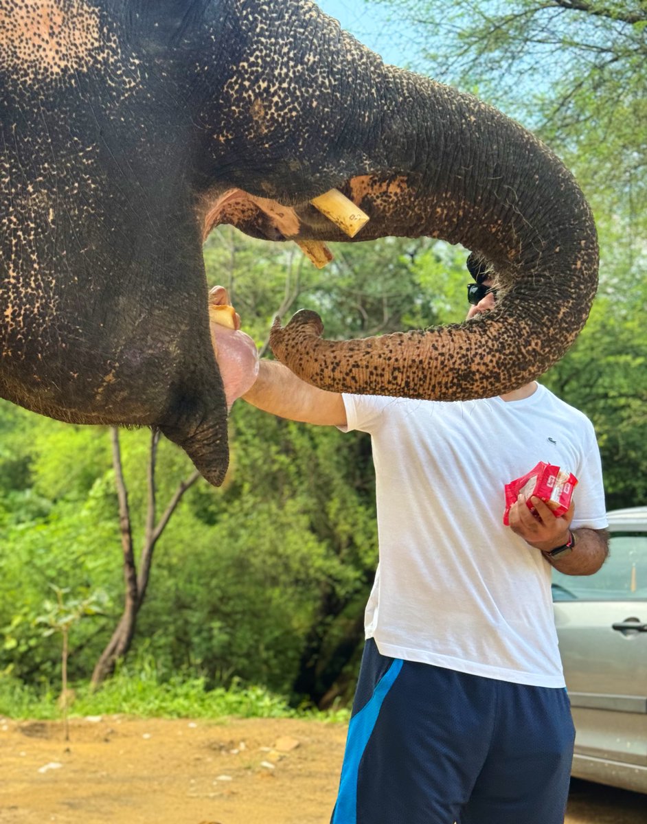 Salman Sufi tweet media