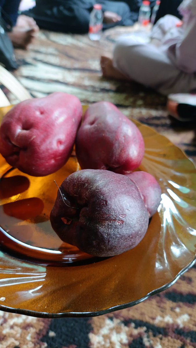 utamigoatmilk's tweet photo. Jambu Darsono nama yg unik
rasa manis, sedikit asam, dan tekstur daging yang lembut.
#wonosalam
#jombang #Jatim https://t.co/AUzvArF0BX