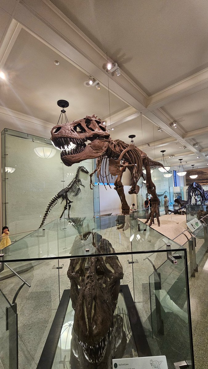 𝐻𝑒𝓁𝑒𝓃 𝒜𝓂𝑒𝓈, 𝑀.𝐸𝒹 tweet media