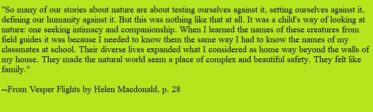 Peyton Gresham tweet media