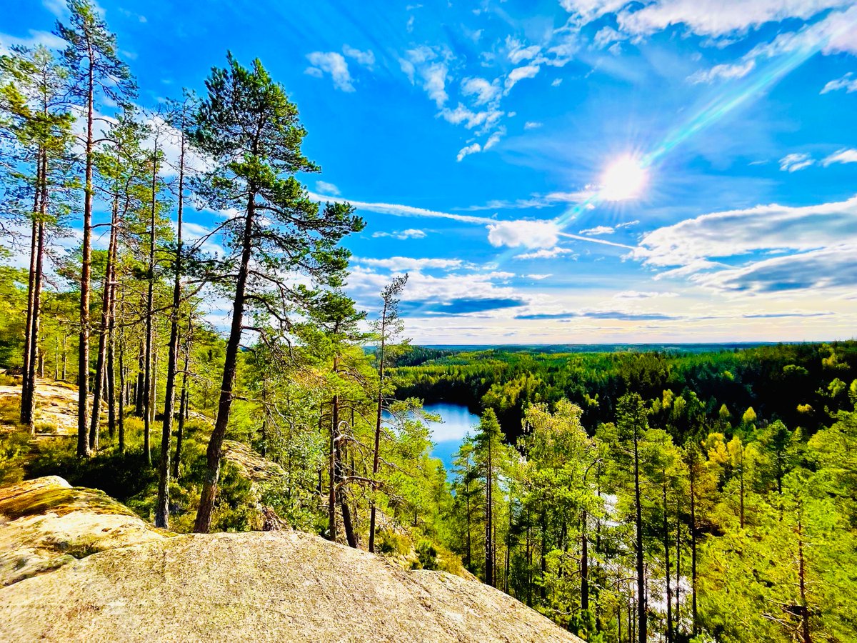 seppohas's tweet photo. Vielä on kesää jäljellä. Siispä joutomies-tupaukko suunnisti vaeltelemaan Repoveden kansallispuistoon. "Hiki laiskan syödessä." Kuten myös patikoidessa. Mutta askeltelin sentään neljä tuntia. https://t.co/aofzxzZ79b