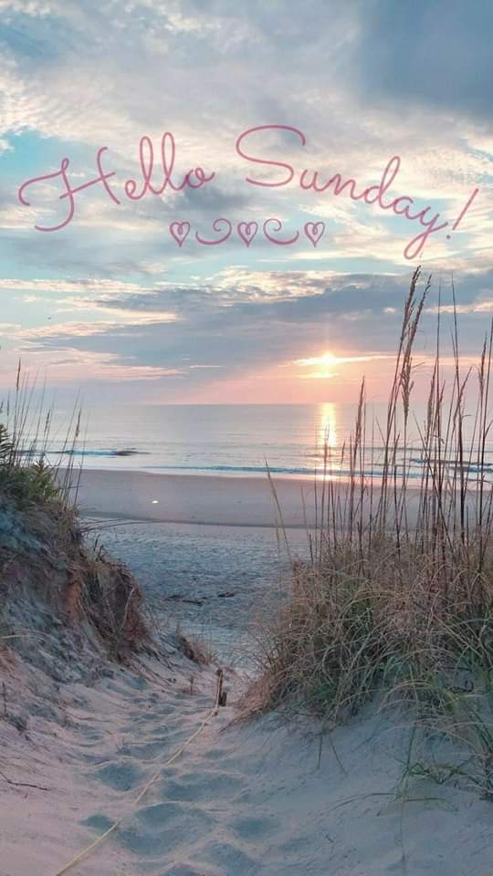 Ruthy Bell 💙🇵🇦 tweet media