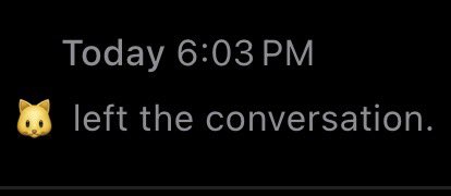 Kiana 🇵🇷 tweet media