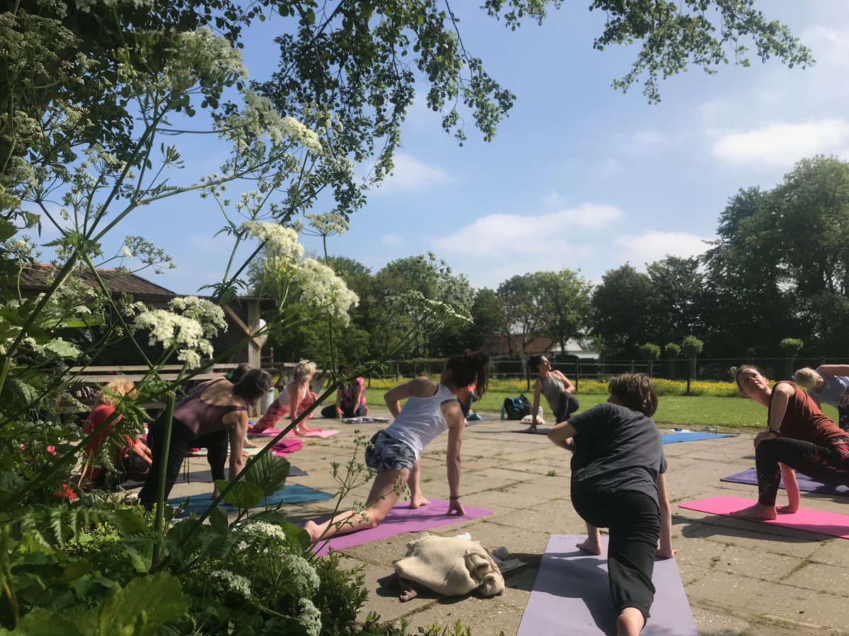 PureyogaNL's tweet photo. Rheebruggen - 22 september 2024 - https://t.co/qtgvqLPxt7 https://t.co/zQknkE2dEJ