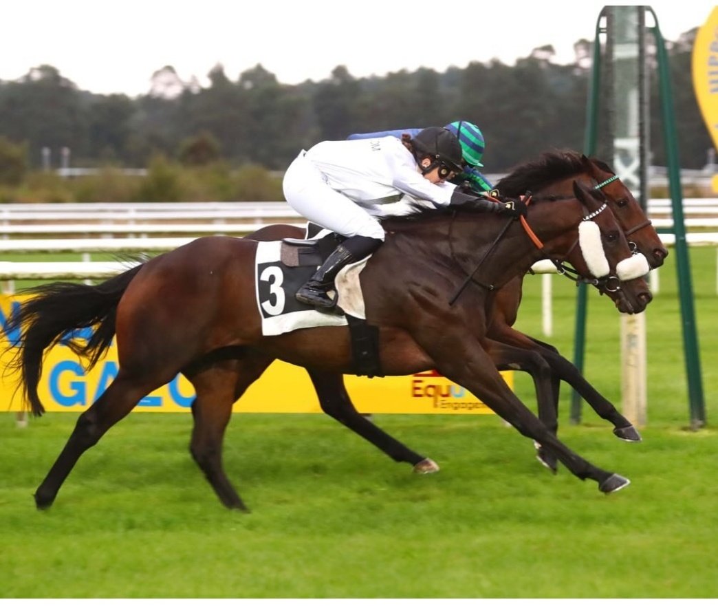 Athnid Stud (@athnidstud) on Twitter photo Fantastic win today by Athnid Stud bred Khanweiler in Fontainebleau, by Sioux Nation <a href="/coolmorestud/">Coolmore</a>. Congratulations to connections <a href="/JulienPhelippon/">Julien Phelippon</a>
Full brother selling at <a href="/Tattersalls_ie/">Tattersalls Ireland</a> this week, Lot 174 Fantastic win today by Athnid Stud bred Khanweiler in Fontainebleau, by Sioux Nation <a href="/coolmorestud/">Coolmore</a>. Congratulations to connections <a href="/JulienPhelippon/">Julien Phelippon</a>
Full brother selling at <a href="/Tattersalls_ie/">Tattersalls Ireland</a> this week, Lot 174