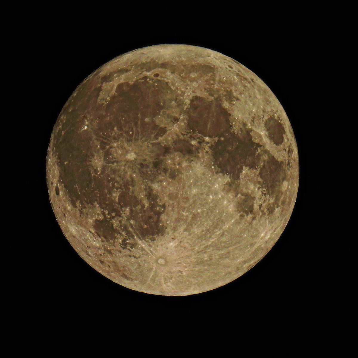 Moon pic from last weeks blood moon, on same night of partial lunar eclipse (which I didn’t stay up for!)