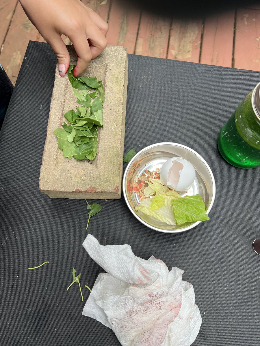 ESL_fairy's tweet image. An active afternoon outside with two small scientists who were learning about snail habitats and the needs and characteristics of different snail species, as well as how to speed up the process of decomposition for the purposes of creating compost. #HandsOnScience #ScienceAtHome
