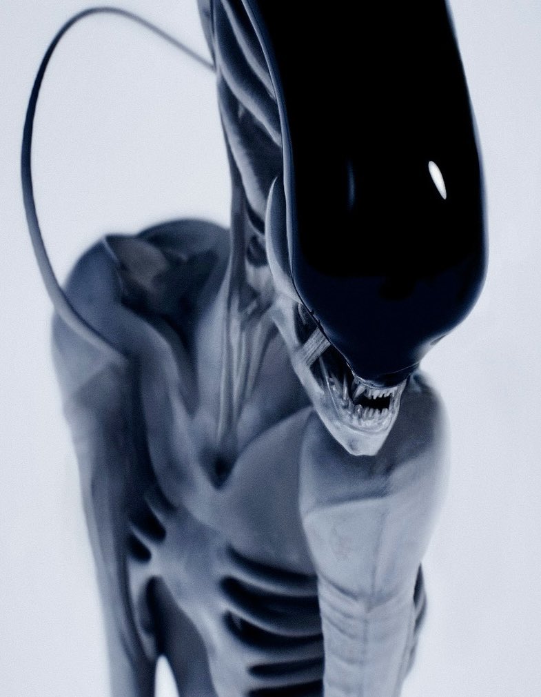 DominicHailsto1's tweet image. Alien riff 02