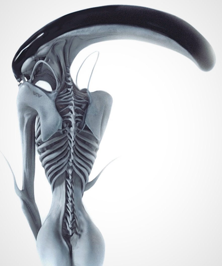 DominicHailsto1's tweet image. Alien riff 02