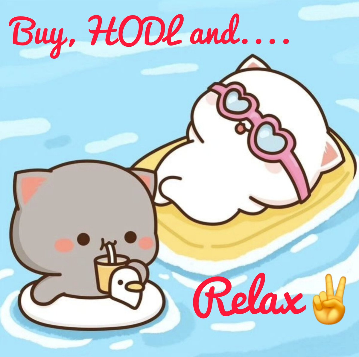 El_Matador720's tweet photo. @JakeGagain #mochicat
#holdtheline
#hodl https://t.co/B5izHwVunO