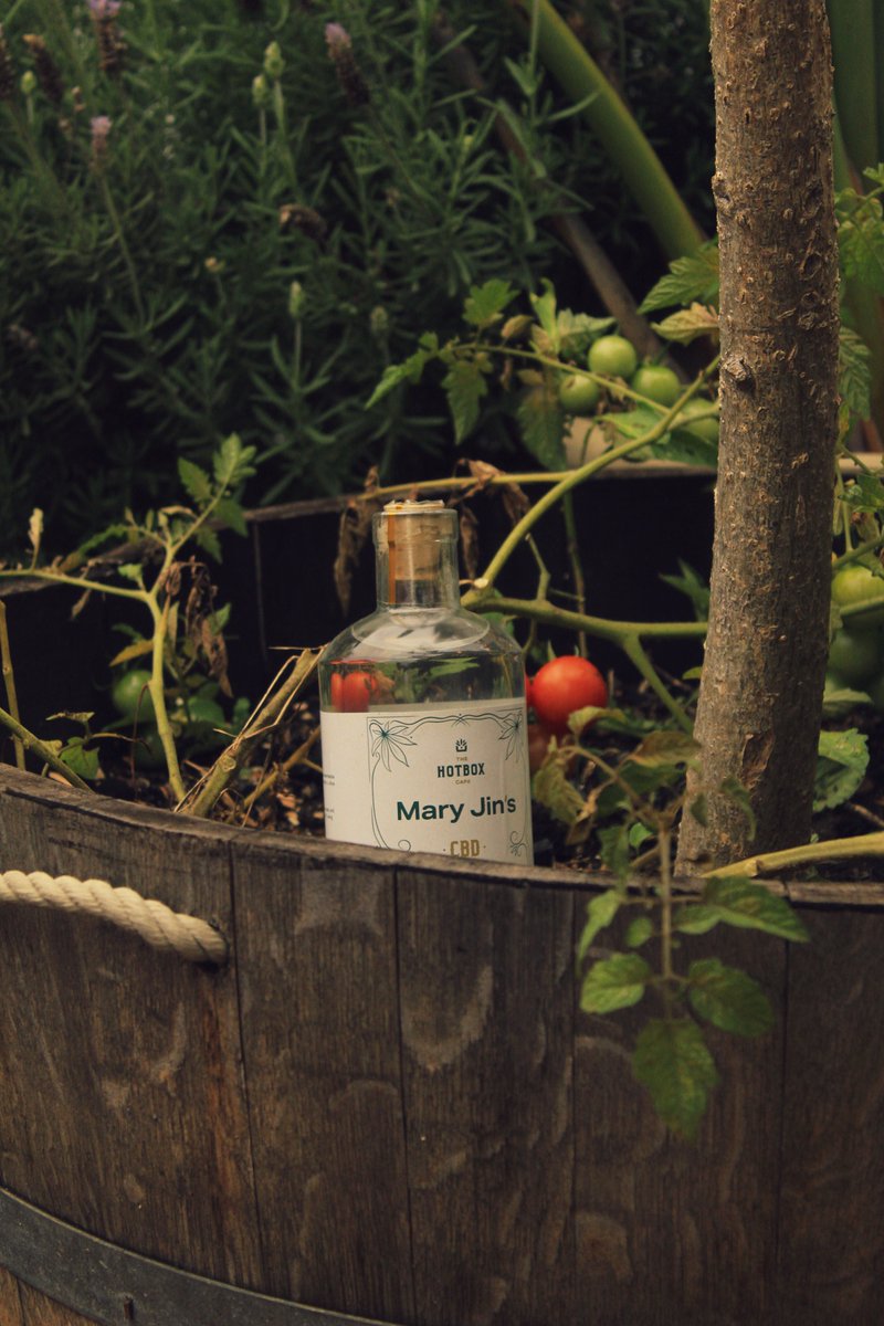 MaryJins's tweet photo. You can’t buy happiness, but you can buy a bottle of CBD gin, and that’s kind of the same thing 🍃 https://t.co/VySqjpEmp0