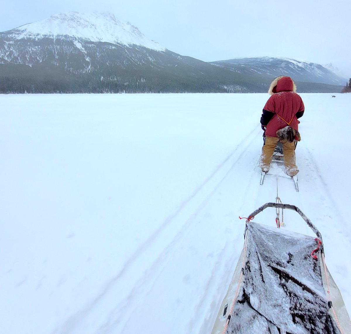 Vacay.ca (@vacaycanada) on Twitter photo NEW: "Winter at Its Finest in #Yukon" by <a href="/sabrinapirillo/">Sabrina Pirillo</a>
vacay.ca/2024/09/experi…
#ExploreYukon NEW: "Winter at Its Finest in #Yukon" by <a href="/sabrinapirillo/">Sabrina Pirillo</a>
vacay.ca/2024/09/experi…
#ExploreYukon