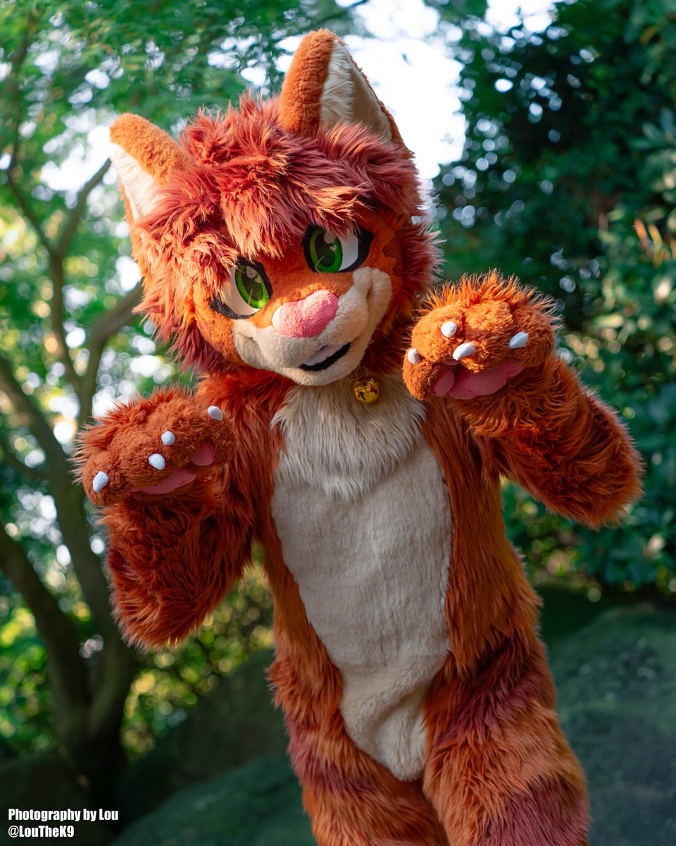 💚Lou🤎 tweet media