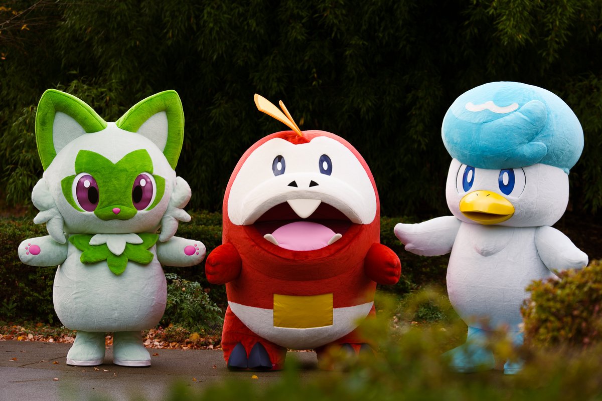 Pokemon's tweet photo. They're so ready for a crunchy leaf 🍂 https://t.co/DKJK84v56q