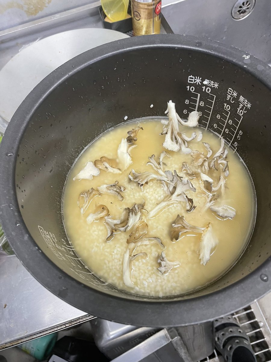 tennen6606's tweet image. 無事に見置き舞茸、採取完了です！
あと2箇所確認しなきゃ
#天然舞茸
#天然キノコ
#天然きのこ
#原生林の熊工房