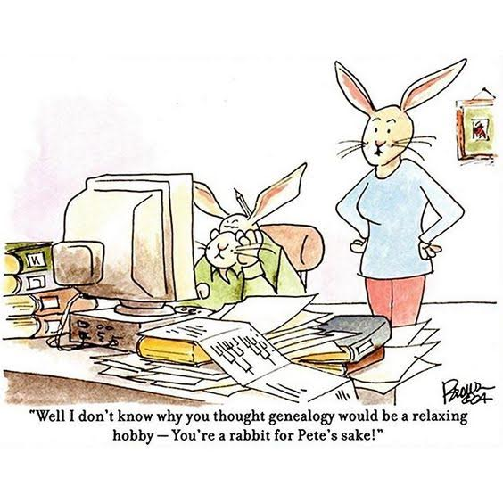 This is how it feels being an Irish Genealogist.