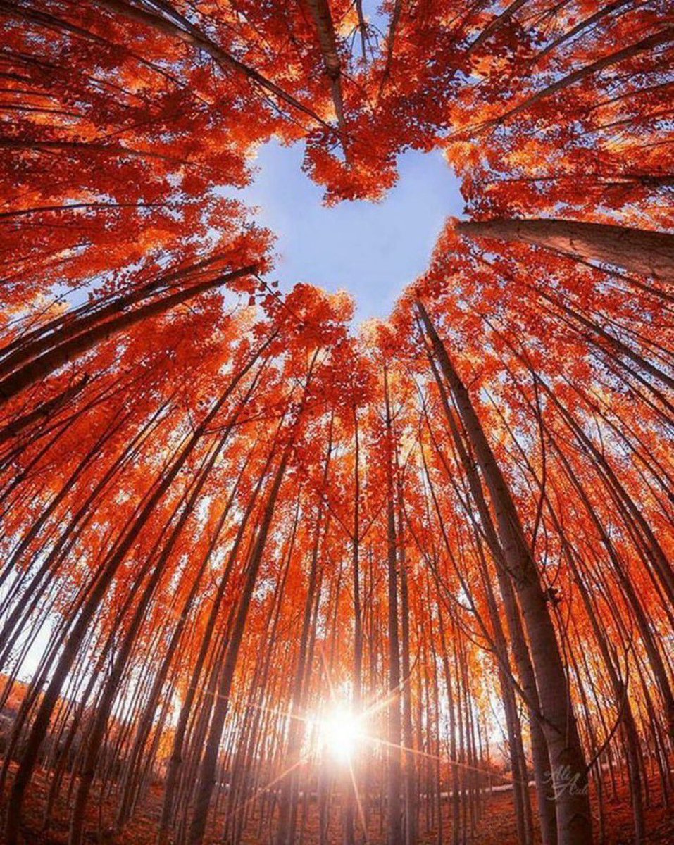 Tbone7219's tweet photo. Fall showing it’s love https://t.co/PbqLyZBj02