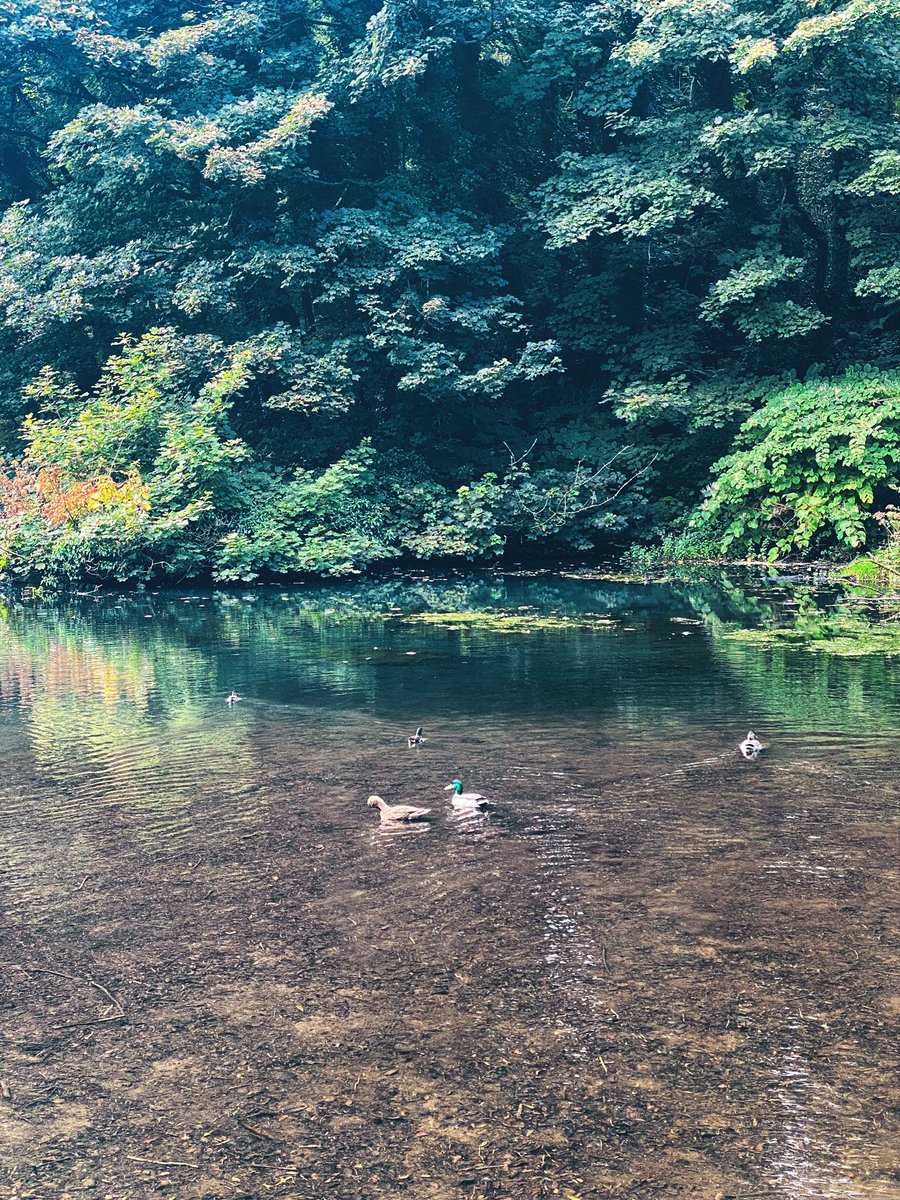 Sara O'Neill 🐚 tweet media