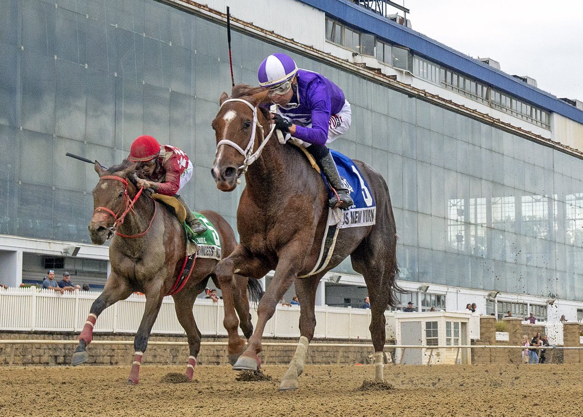 Maryland Horsemen (@mdhorsemen) on Twitter photo Miss New York rallies on turn under <a href="/jockeydcenteno/">Daniel Centeno</a> and wins one-mile Twixt Stakes <a href="/LaurelPark/">The Maryland Jockey Club, Inc.</a> for 5th career score. 4YO Good Magic filly trained by <a href="/RacingDelgado/">Delgado Racing</a> for Amo Racing USA. (Jerry D. 📷) Miss New York rallies on turn under <a href="/jockeydcenteno/">Daniel Centeno</a> and wins one-mile Twixt Stakes <a href="/LaurelPark/">The Maryland Jockey Club, Inc.</a> for 5th career score. 4YO Good Magic filly trained by <a href="/RacingDelgado/">Delgado Racing</a> for Amo Racing USA. (Jerry D. 📷)