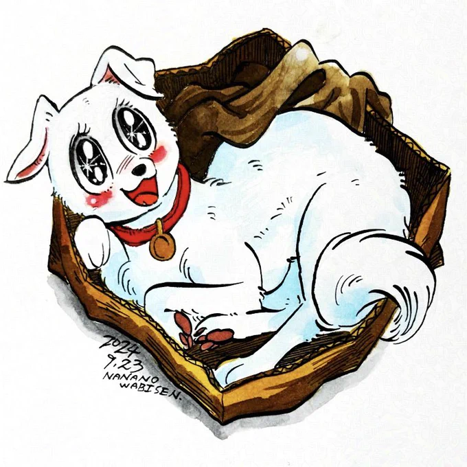 箱、だいすき! 